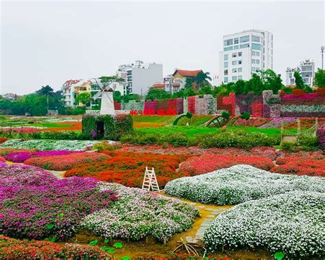  Thung Lũng Hoa Đoài -  Nơi Những Bông Hoa Tươi Và Thắng Cảnh Bất Diêm